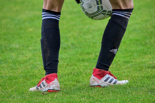 的情况下 的情况下